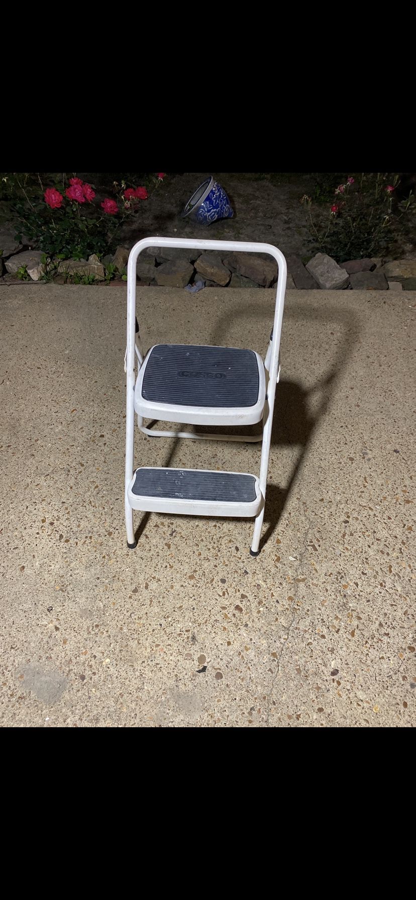 2 Ft Ladder