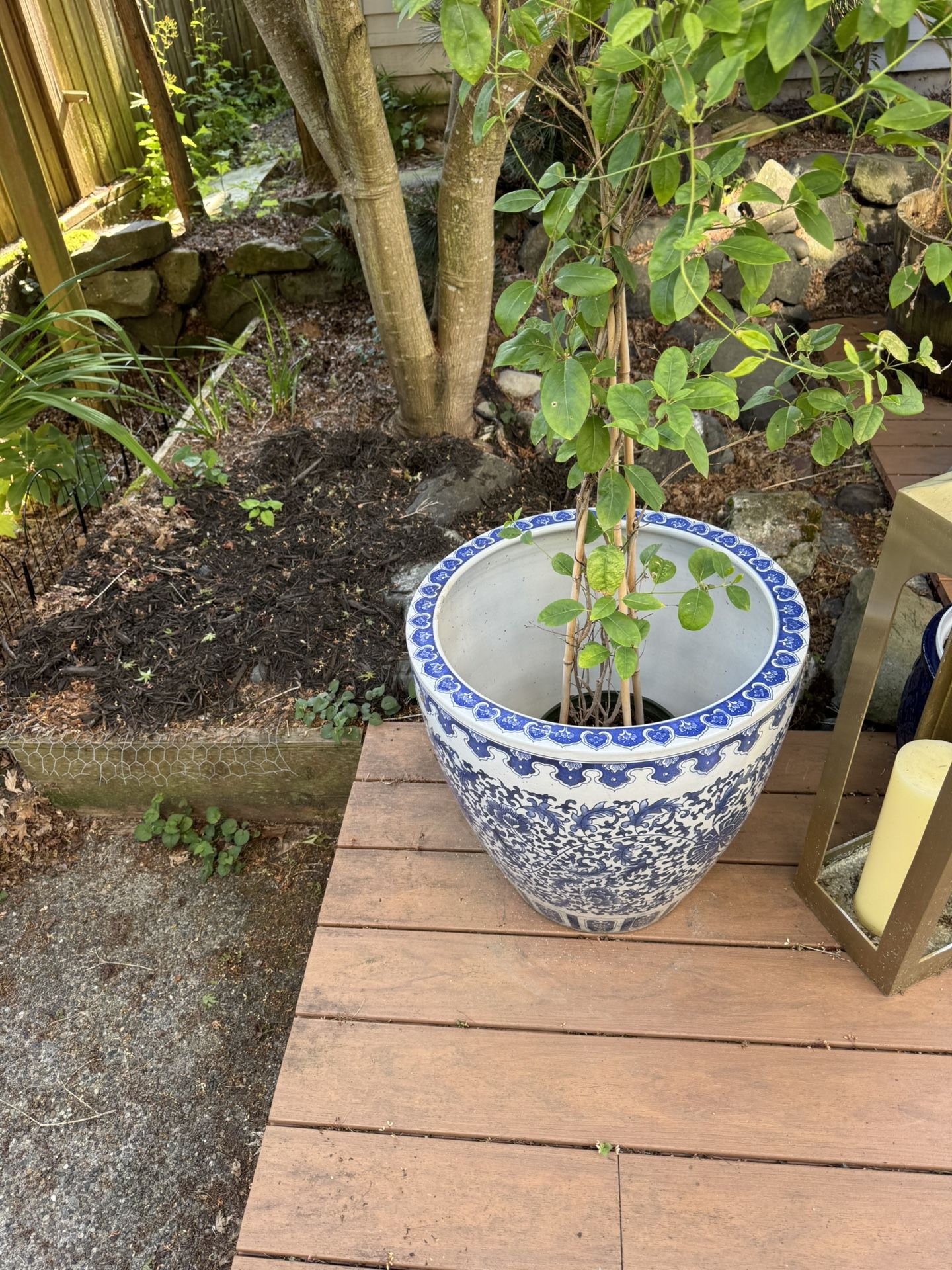 William Sonoma Patio Vase