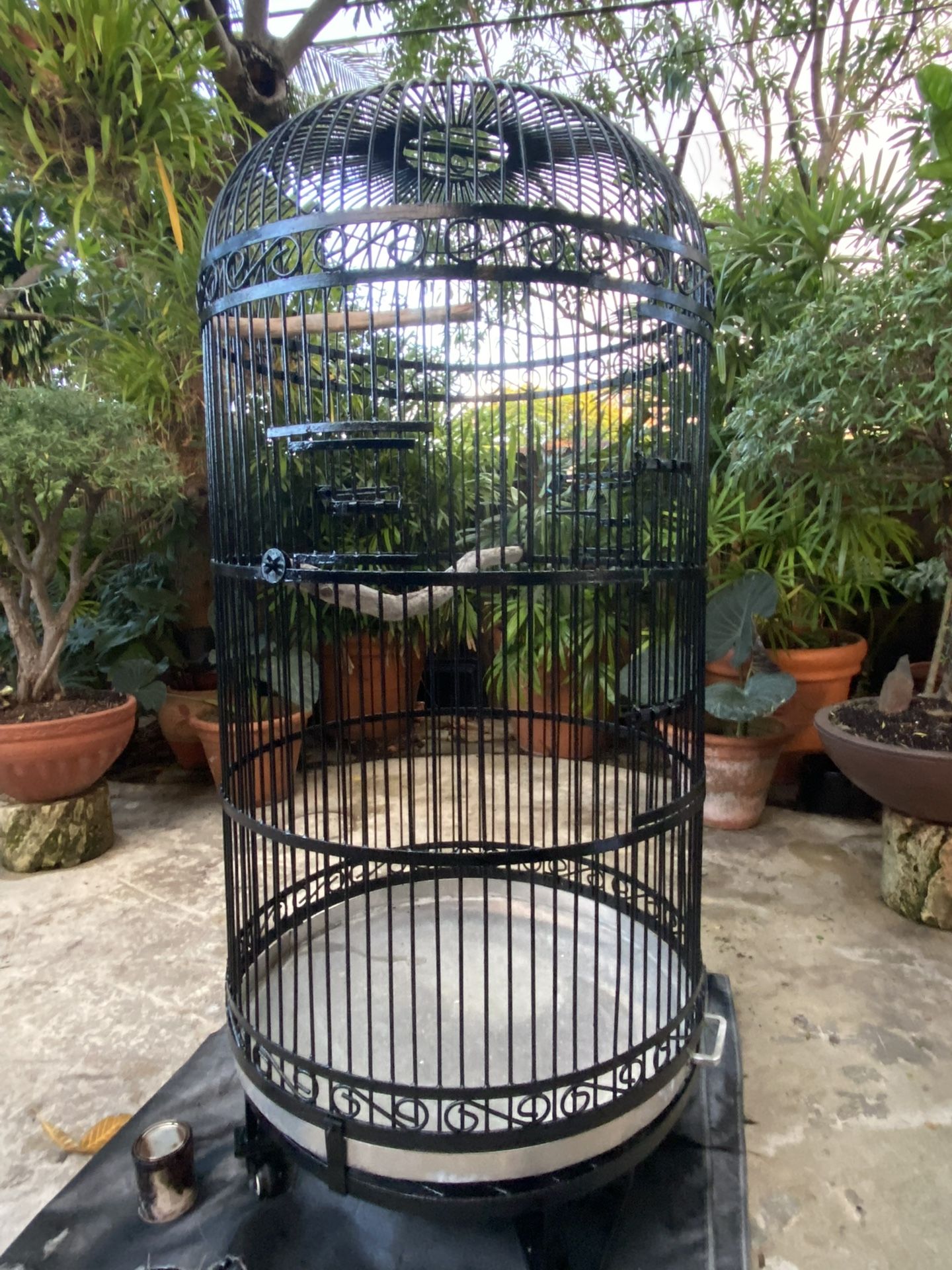 Black bird Cage