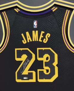James autographed Lakers 23 jersey