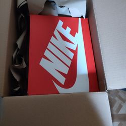 Nike Dunk Low Size 2.5 In Youth Kids 