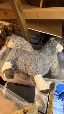 Two Llamas