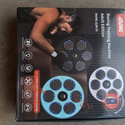 Boxing Training Kit