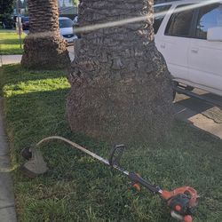 Echo Weed Eater Gasoline Mix