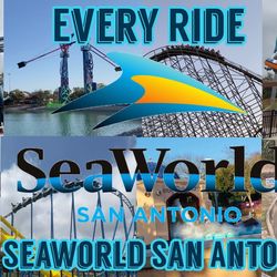 Seaworld And Other Festivities