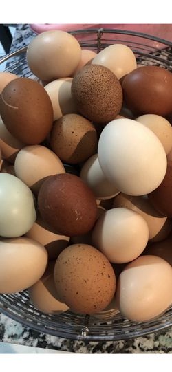 Fresh Farm Eggs
