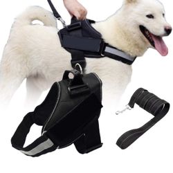 Dog Harness with Leash