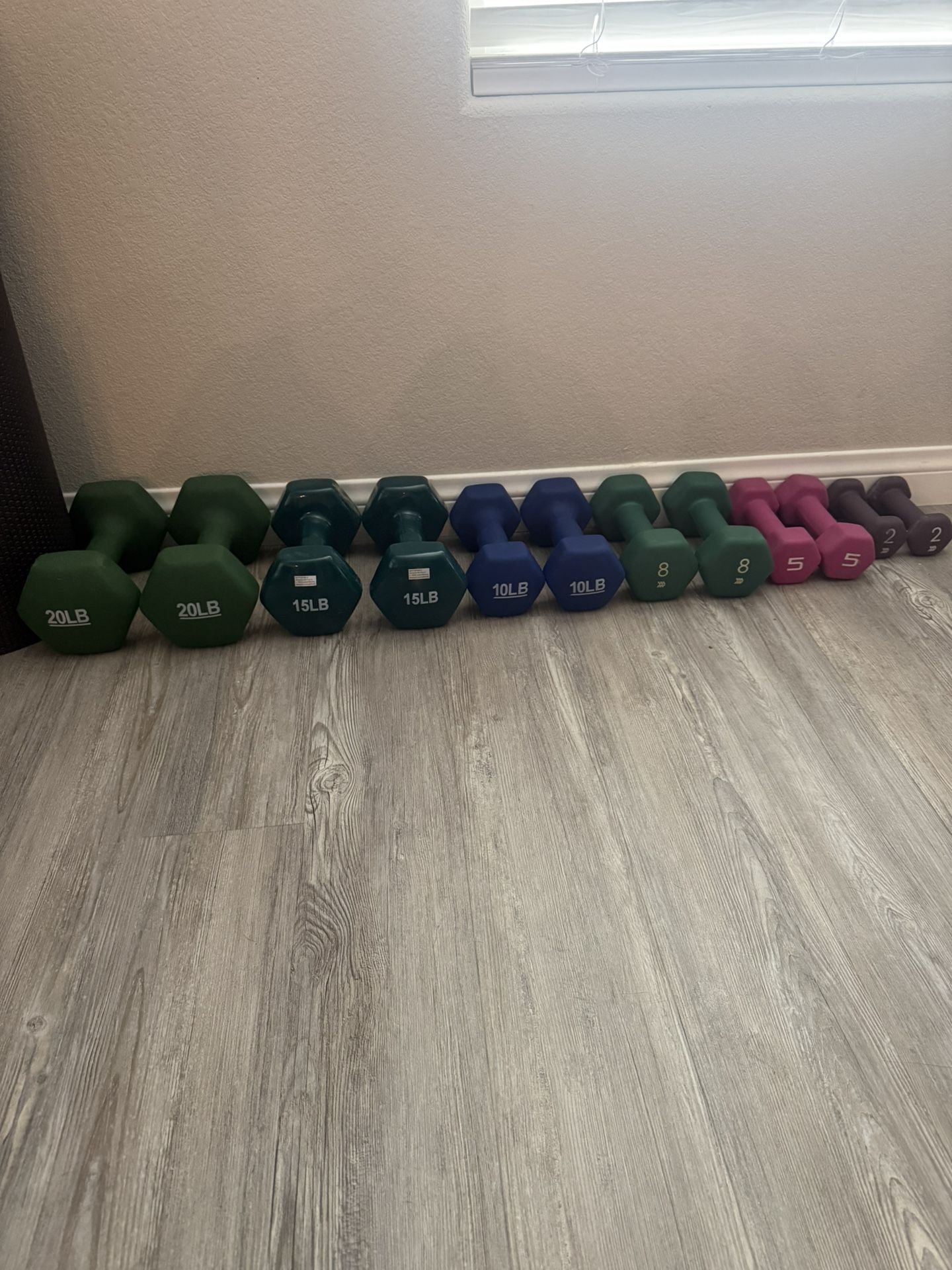 Dumbbell Set