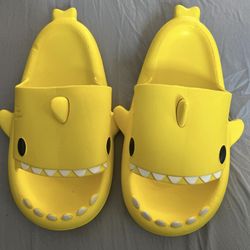 Shark slippers