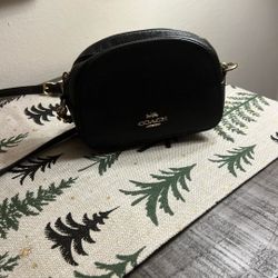 bolsa Coach 