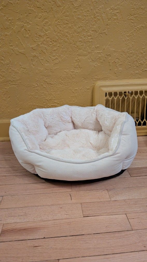 Cat Bed