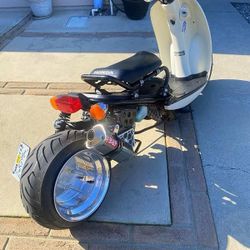 Street Legal Honda 49cc  Honda Rutcus 