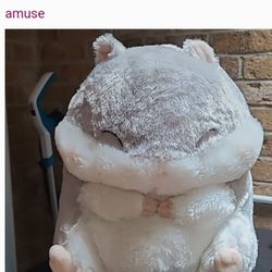 AMUSE HAMSTER