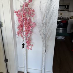 Christmas Ferry Lights 