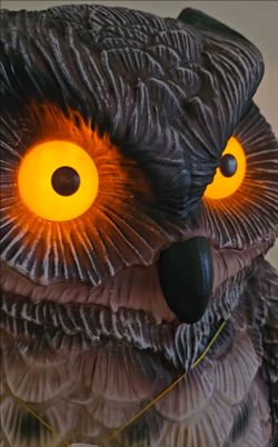 🎃 2.5 Ft Owl on Pumpkin LED Halloween Blowmold Home Depot