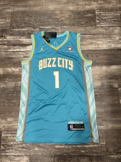 Lamelo Ball (sizes Below) buzz city Charlotte Hornets basketball