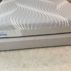 Sealy King Mattress 