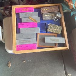 Entire Box Of Rare Sea Shells 