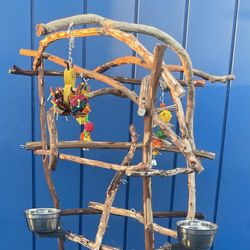 African Grey - Amazon Parrot Custom Perch Tree ,.. A Birdee Must Have!! 