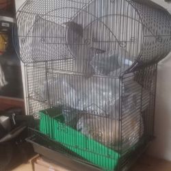 Big Bird Cage