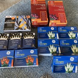 Indoor/Outdoor Lights