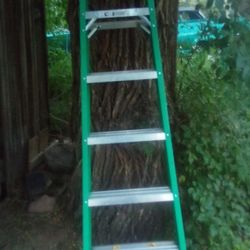 6' Werner Fiberglass Step Ladder 
