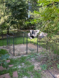 BEST OFFER- NEED GONE ASAP - Dog pen and or Garden shed