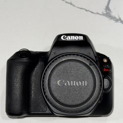 Canon Entry Level Camera 