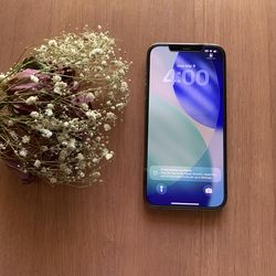 iPhone 12 Pro Max (256gb) Unlocked Gray color