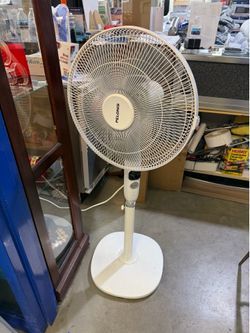 New fan