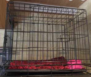 2 Door Dog Cage