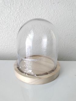 Wood Glass Cloche Dome New