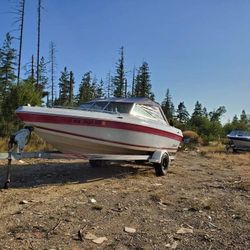 Project Boat 19' Sea Swirl 