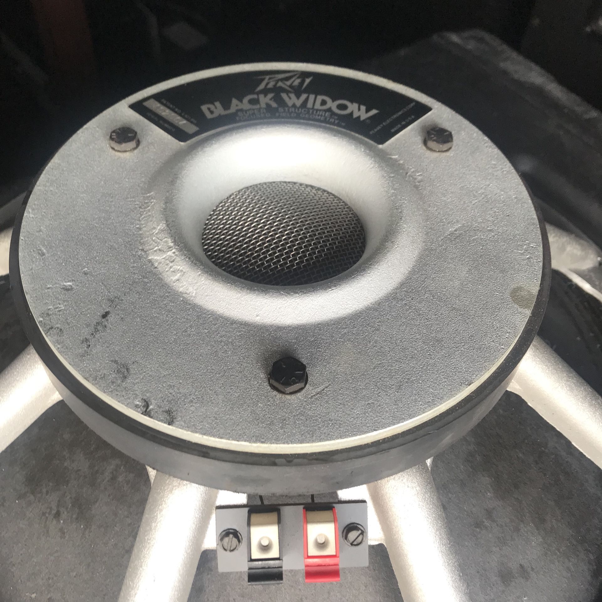 Speaker black best sale widow 18 in