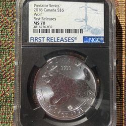 1 Ounce Silver Coin
