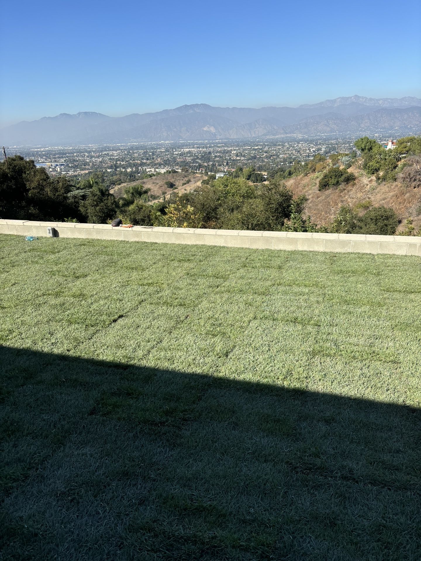Sod And Sprinklers