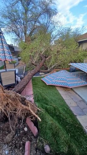 Tree Work