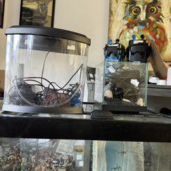 Mini Aquariums Perfect For Betta/ shrimp/ guppies