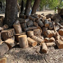 Eucalyptus And Poplar Firewood 