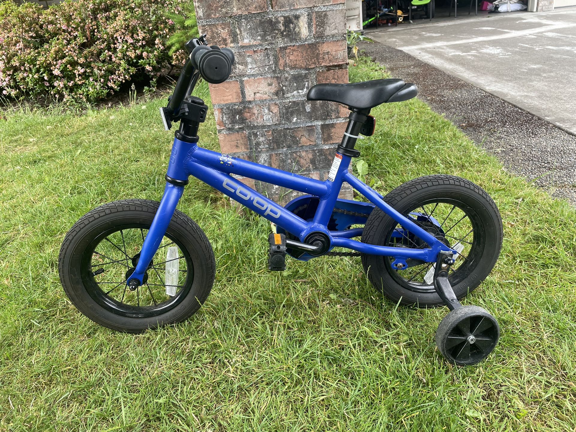 Child’s Bike REI Rev 12 $100.00 OBO