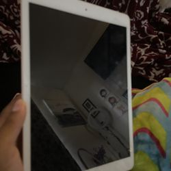 7th Generation Rose Gold Ipad 