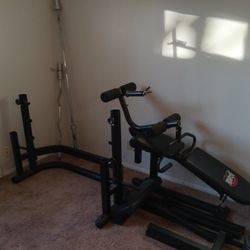 295# Olympic Weight Set W/Arm & Leg Developer