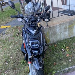 2024 Transpro T-Rex 50