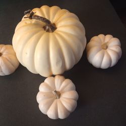 Cream Color Harvest Theme Pumpkin Decor 