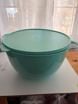 Jumbo bowl with lid