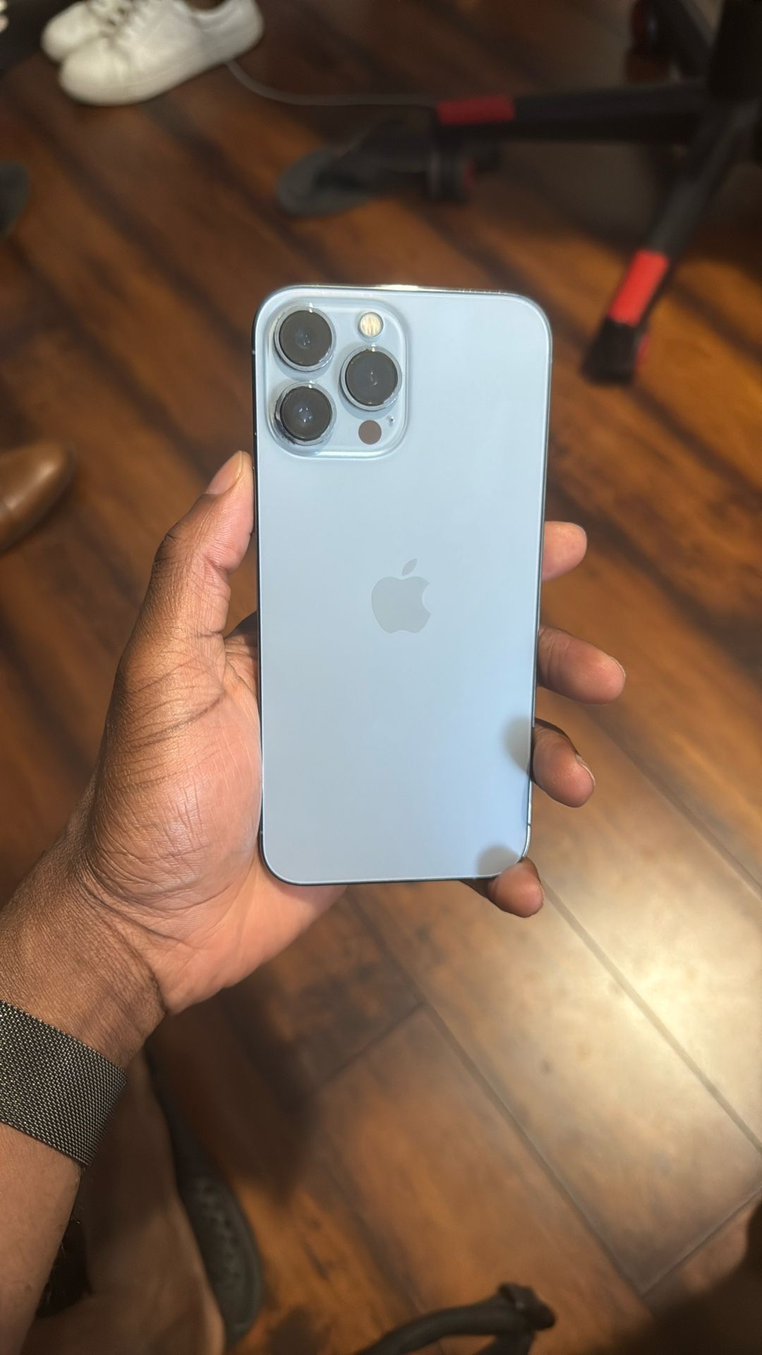 iPhone 13 Pro Max