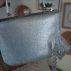 Purse Silver New . Ontario