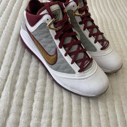 Shoe LeBron 