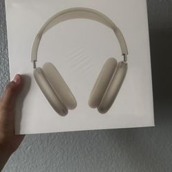 Apple Headphones