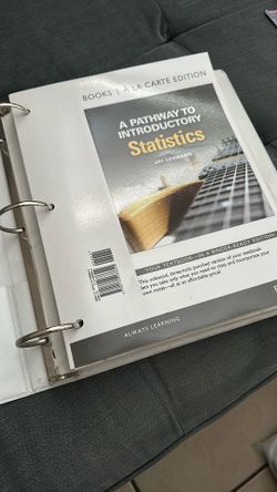 A Pathway to Introductory Statistics